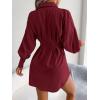 Casual Lantern Sleeve Shirt Dress with Cinched Waist and Asymmetrical Dresses(Wine)